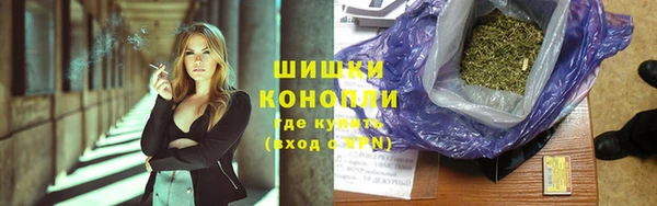 молекула духа Переславль-Залесский
