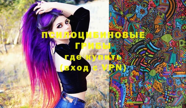 бошки Абинск
