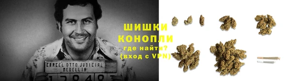 молекула духа Переславль-Залесский